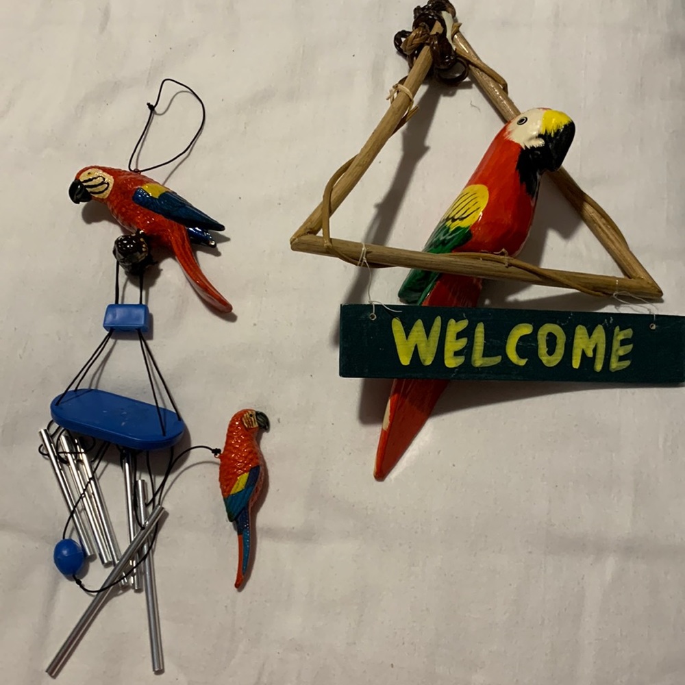 Parrots 🦜